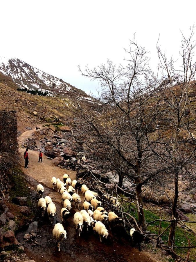 Gite Entre Les Vallees Tacheddirt Екстер'єр фото